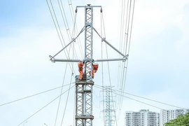 Video: Quy tắc ứng xử trong văn hóa EVNNPT