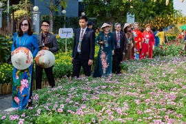 'Happy Tết' diệu kỳ trên đường hoa Home Hanoi Xuan 2023