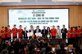 Tiếp sức những chiến binh vàng của đội tuyển bóng đá quốc gia Việt Nam