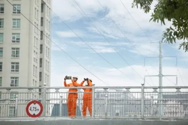 EVNHANOI cảnh báo về vi phạm an toàn hành lang lưới điện