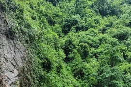 Mưa lũ, sạt lở đất ảnh hưởng đến vận hành nguồn và lưới điện