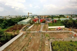 Cảnh báo dự án 'ma' tự phân lô bán nền ở quận 7, TP.HCM