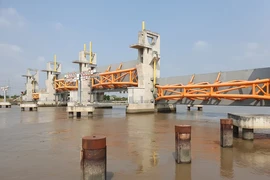 Dự án ngăn triều khổng lồ ở TP.HCM vẫn bế tắc phương án vốn