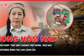 'Phù phép' thịt heo thành thịt nhím, thịt nai; YouTuber Đinh Thị Lan lãnh án