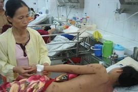 51 học sinh tiểu học bị ong mật đốt