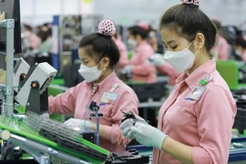 Nửa đầu tháng 8, xuất nhập khẩu giảm khoảng 7%