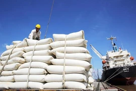Được mùa, được giá, Việt Nam cần nắm bắt thời cơ vàng để xuất khẩu gạo