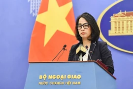 Yêu cầu Trung Quốc chấm dứt hoạt động xâm phạm vùng biển Việt Nam