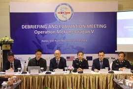 1.715 vụ vi phạm bị bắt giữ trong Chiến dịch Con rồng Mê Kông