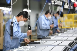 Doanh nghiệp tư nhân dẫn đầu về tốc độ tăng trưởng