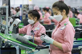 6 tháng năm 2024, Mỹ là thị trường xuất khẩu lớn nhất của Việt Nam