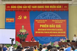 Đấu giá đất vùng ven Hà Nội: Lý do gì giá cao ngất ngưởng?