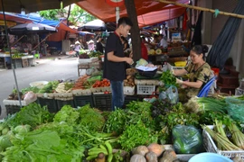 Hơn hai tuần sau bão số 3, giá rau xanh ở Hà Nội tăng gấp đôi