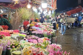 Bất chấp trời lạnh, người dân vẫn chen chân đến chợ hoa đêm lớn nhất Thủ đô