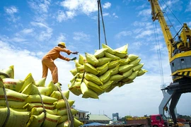 Thủ tướng vừa ký công điện về điều hành lúa gạo trước diễn biến mới 