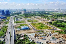 Chính phủ ban hành Kế hoạch triển khai chính sách đặc thù để xử lý vi phạm pháp luật đất đai