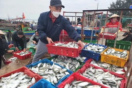 Chi tiết về 5 hộ kinh doanh đạt doanh thu trên 200 tỉ