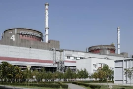 Nga bắt giữ 2 công nhân nhà máy điện hạt nhân, nghi là gián điệp Ukraine 