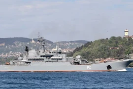 Ukraine đánh chìm tàu đổ bộ Nga ở Crimea 