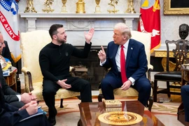 Ông Trump ám chỉ chuyện tại vị của ông Zelensky 
