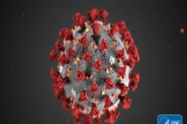 Mô hình virus SARS-CoV-2. Ảnh: CDC