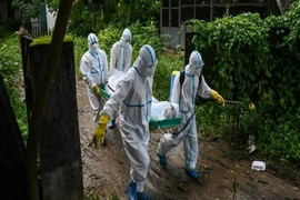 Tình nguyện viên Myanmar khiêng xác một người chết vì COVID-19 đến nghĩa trang ở TP Yangon, Myanmar. Ảnh: AFP