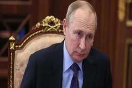 Tổng thống Nga Vladimir Putin. Ảnh: AFP