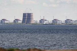 Nhà máy điện hạt nhân Zaporizhia. Ảnh: AFP
