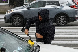 Một cư dân bang Illinois (Mỹ) cạo tuyết trên xe ô tô ngày 22-12. Ảnh: REUTERS