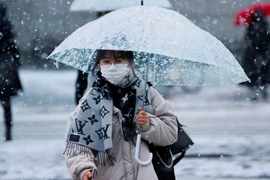 Tuyết làm gián đoạn giao thông ở Nhật