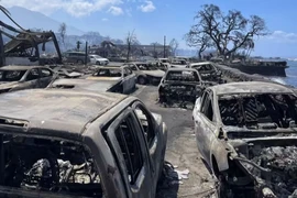 Cháy rừng như 'tận thế' ở Hawaii: Vì sao lan quá nhanh, quá nhiều người chết?