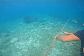 Philippines tháo dỡ ‘rào chắn nổi’ của Trung Quốc trên Biển Đông