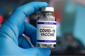 Một người tiêm 217 mũi vaccine COVID-19, cứ 4 ngày tiêm một lần