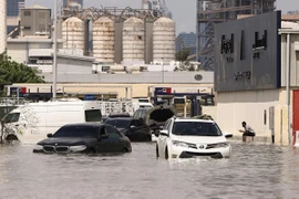 Ảnh, video: 'Biển' Dubai