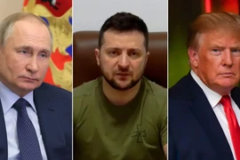 Ông Trump điện đàm với ông Putin và ông Zelensky, bàn khả năng ngừng bắn