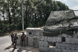 Nguồn tin tình báo Mỹ tiết lộ tình trạng quân Ukraine ở Kursk, khác tuyên bố của ông Trump và ông Putin