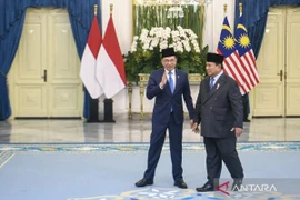 Indonesia sẽ tích cực hỗ trợ Malaysia thúc đẩy hòa bình Campuchia-Thái Lan