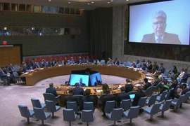 Hội đồng Bảo an họp khẩn về Ukraine, kêu gọi ngừng bắn vô điều kiện