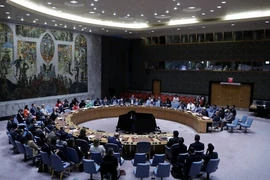 Israel nói HĐBA sắp họp khẩn về vấn đề con tin ở Gaza, Hamas ra tuyên bố hợp tác