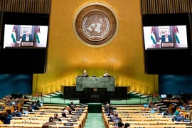 Chuyện công nhận Nhà nước Palestine: Ý nghĩa và triển vọng