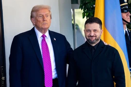Ông Zelensky: Phải ngừng giao tranh ở giới tuyến hiện tại để đối thoại hòa bình
