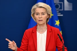 Châu Âu họp theo 'định dạng Washington' bàn về Ukraine