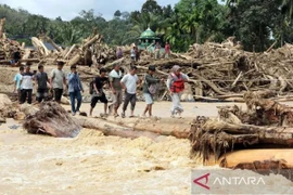 Indonesia, Thái Lan chạy đua tìm cứu hàng trăm người mất tích trong lũ 