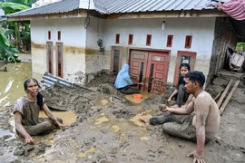 Gần 500 người thiệt mạng trong lũ, Indonesia và Thái Lan tăng tốc cứu nạn 