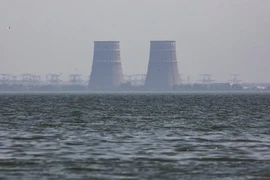 IAEA: Nga-Ukraine đạt thỏa thuận ngừng bắn tại nhà máy điện hạt nhân Zaporizhzhia