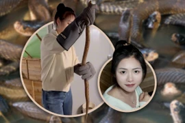 Đằng sau 'cơ ngơi' 60.000 con rắn độc của cô gái 9X