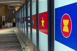 Cờ của Hiệp hội Các quốc gia Đông Nam Á (ASEAN) và quốc kỳ các nước thành viên. Ảnh: CHANNEL NEWS ASIA