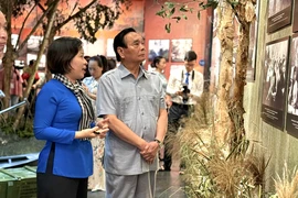 ‘Thời thanh xuân trên tuyến đường 1C huyền thoại’ tái hiện ký ức hào hùng