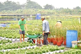 TP.HCM sẽ đào tạo 1.680 lao động nông thôn theo mô hình 'nông dân số'