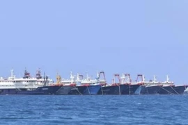 Chuyên gia Mỹ: Tàu TQ xả chất thải gây ảnh hưởng san hô tại Trường Sa. Ảnh: AP